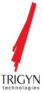 Trigyn Technologies Reports Q2 FY2025 Revenue of Rs. 24,195 Lakhs logo