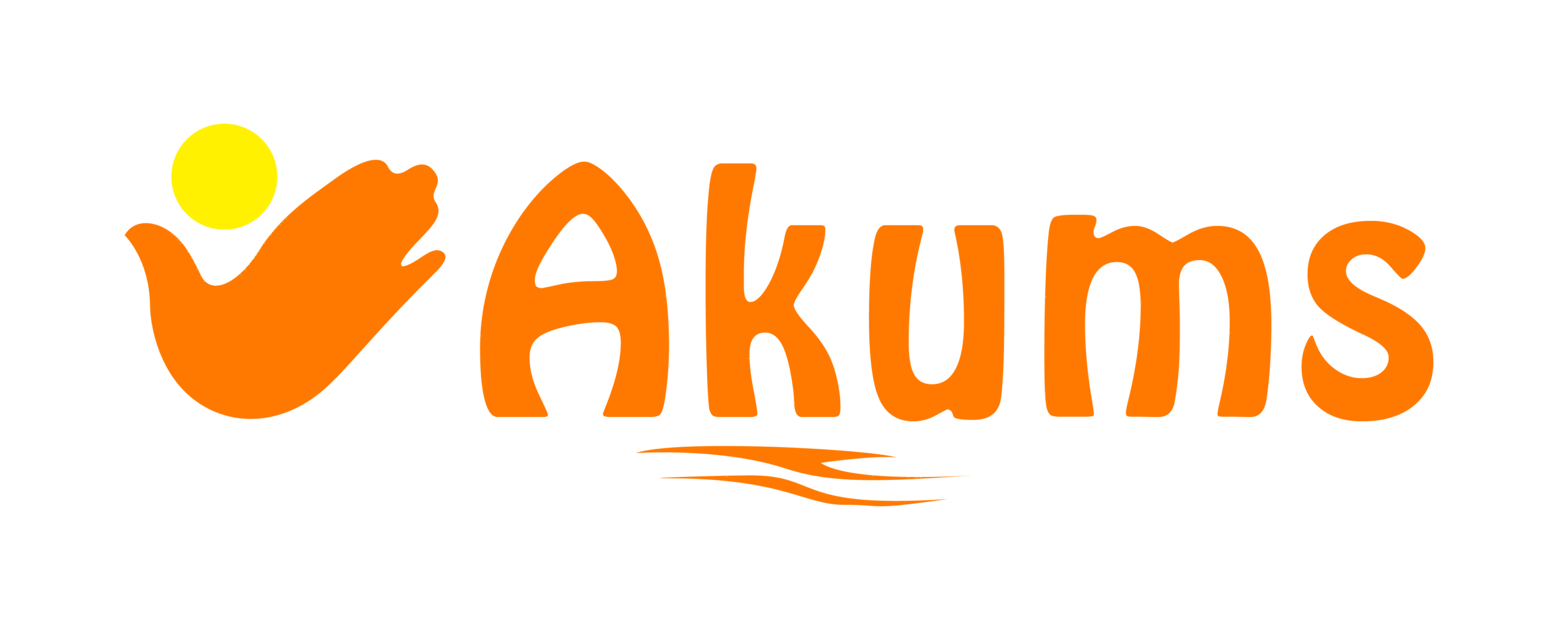 Akums Drugs Granted Patent for Dual Release Gastro-Resistant Tablet logo