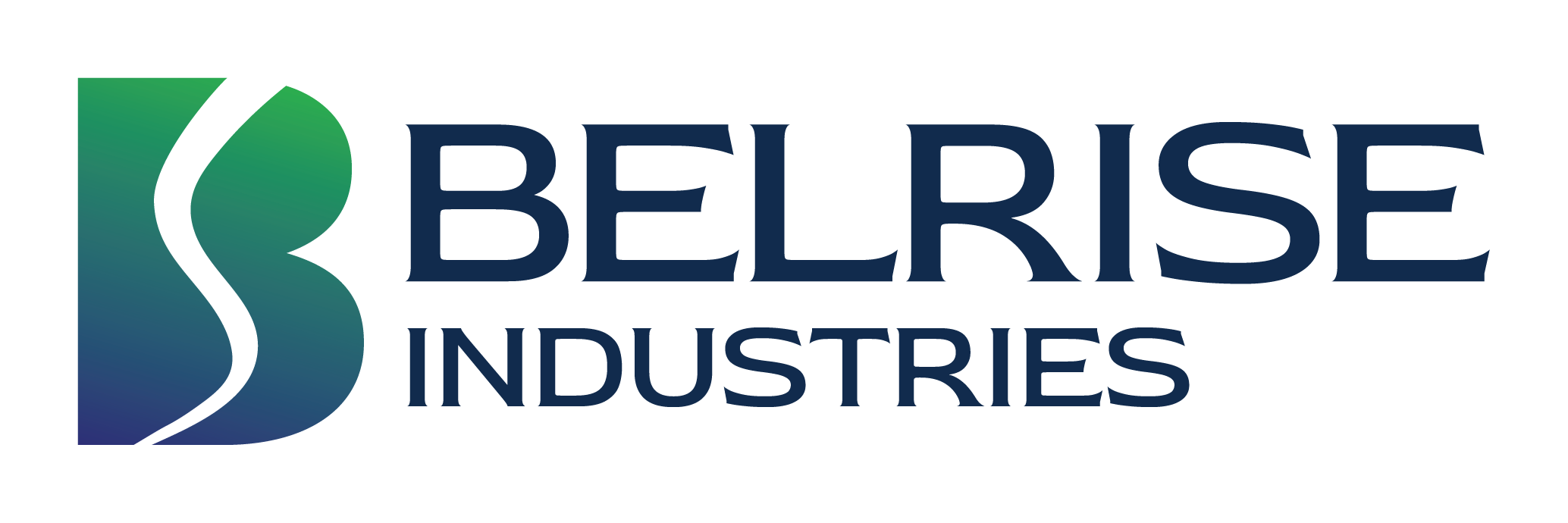 Belrise Industries Incorporates Step-Down Subsidiary in France logo