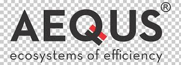 Aequs Ltd Recognizes Rajeev Kaul as Co-Founder logo