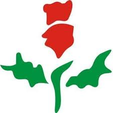 Privi Speciality Chemicals Invests Rs. 1.77 Crore in Solar Project logo