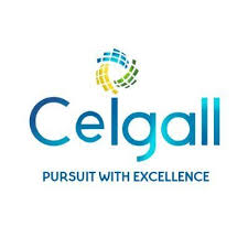 Ceigall India Secures Rs. 274 Crore Road Construction Contract logo